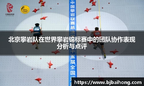 NG体育官网